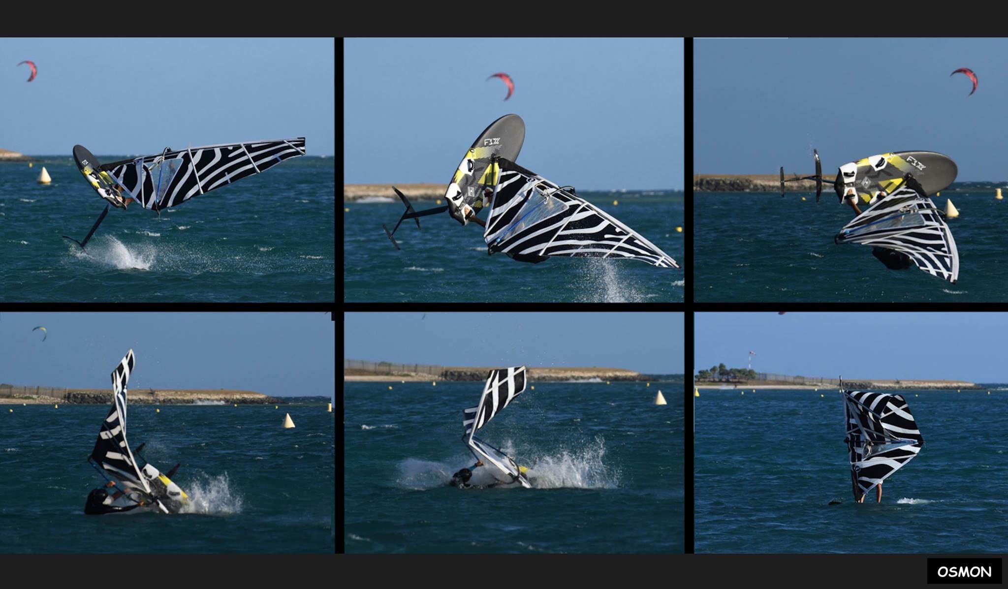 zebre