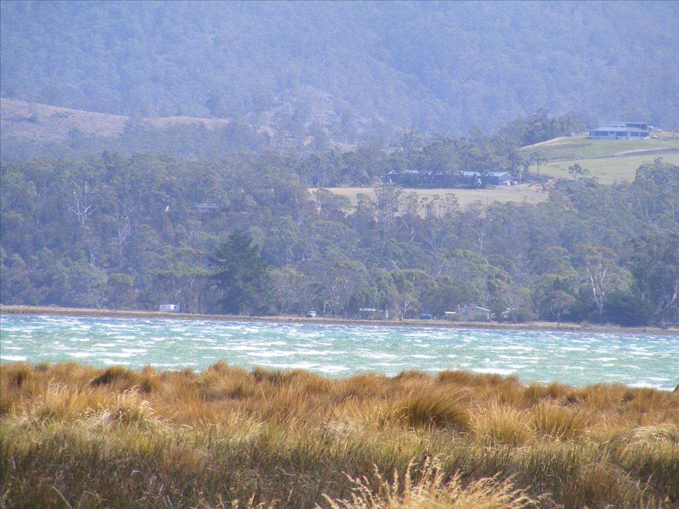Windy SWly
