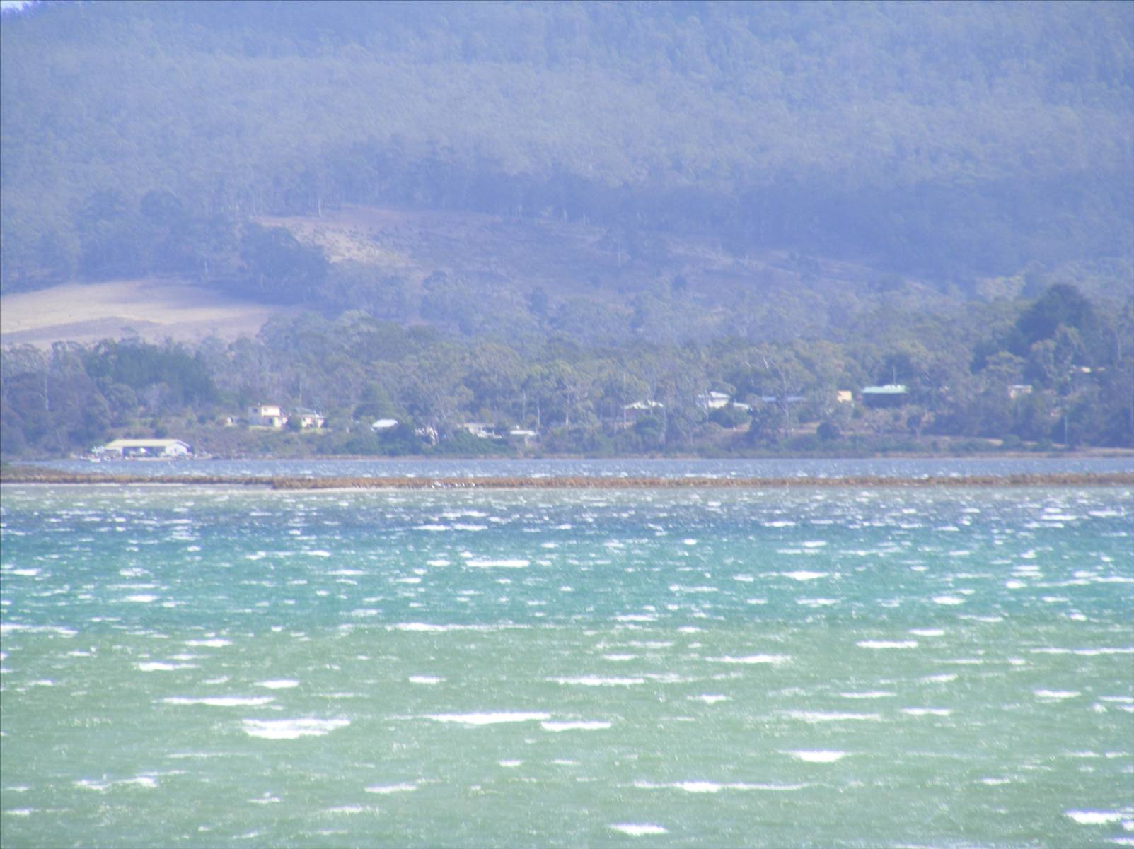 Windy SWly
