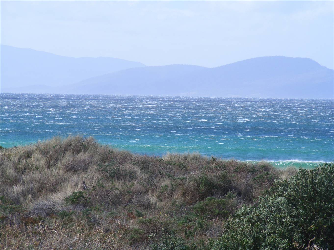 Windy SWly