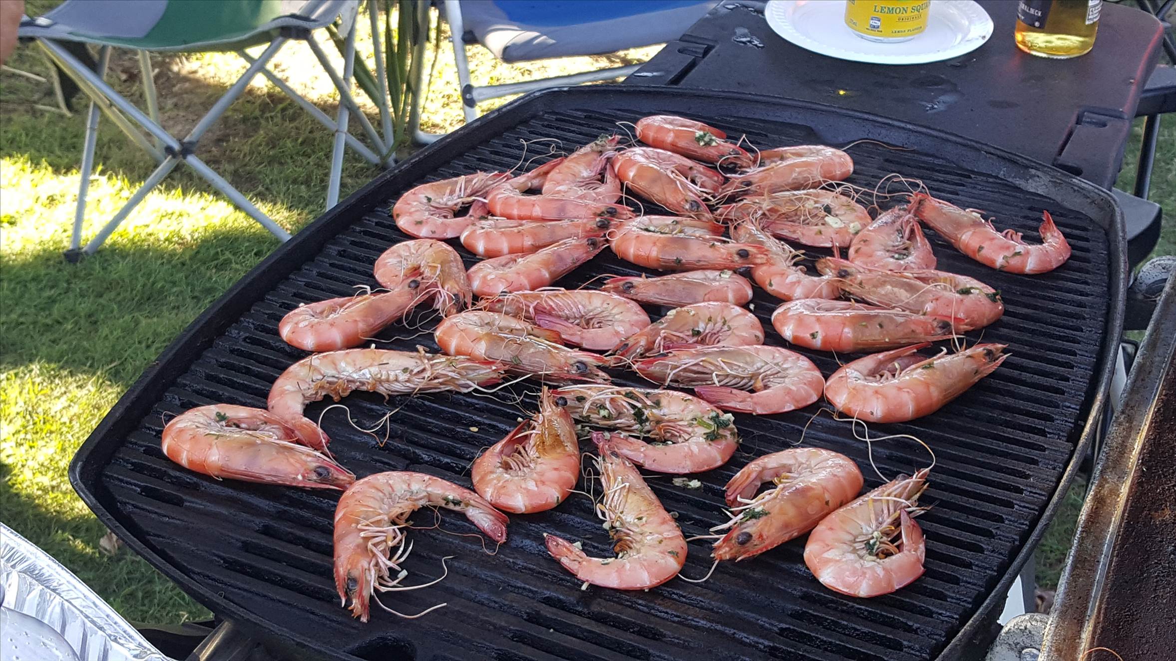 prawns