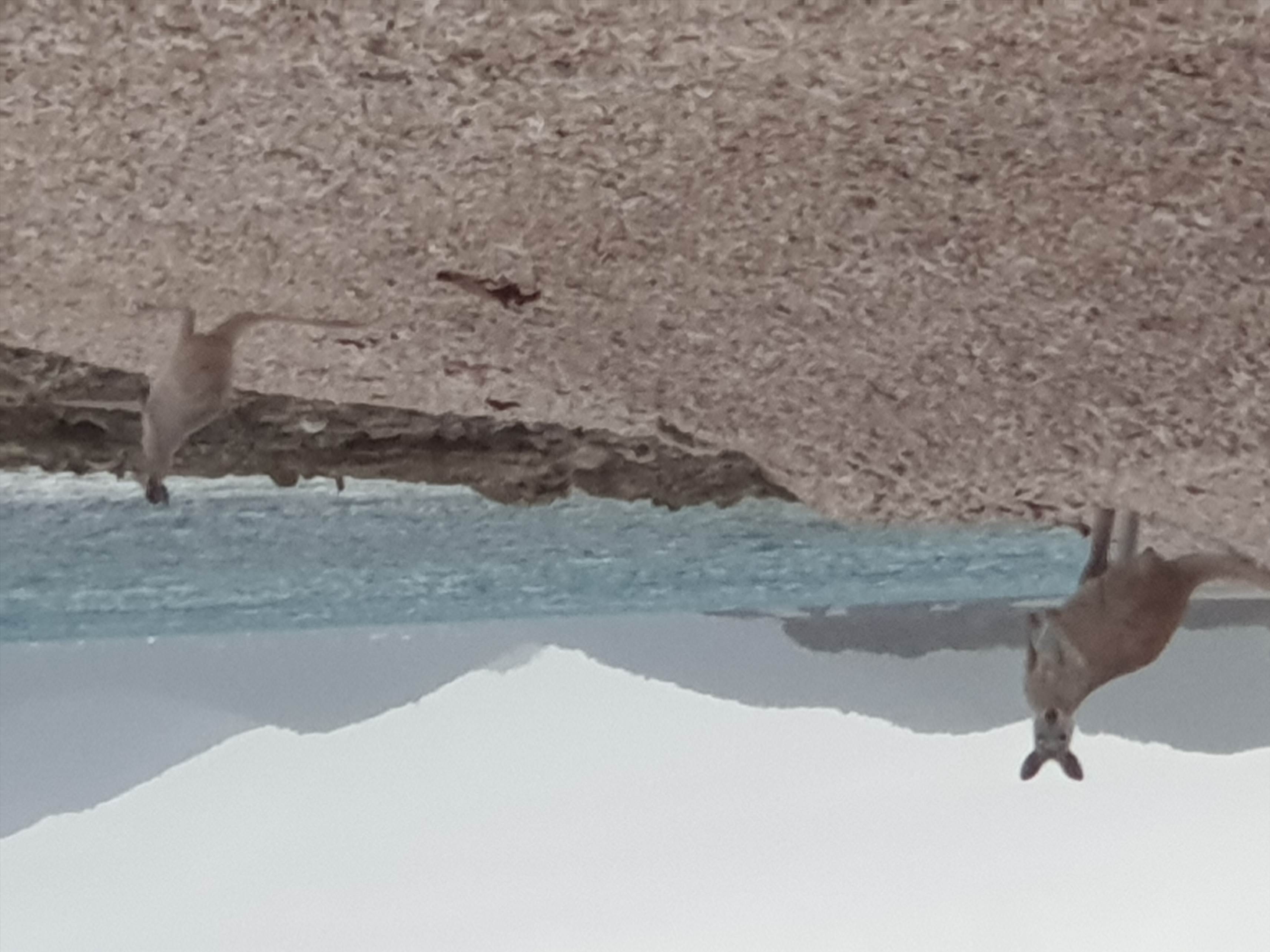 20190912 055716