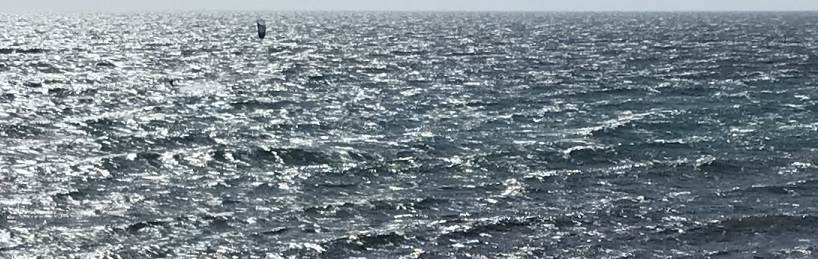Swell cropped