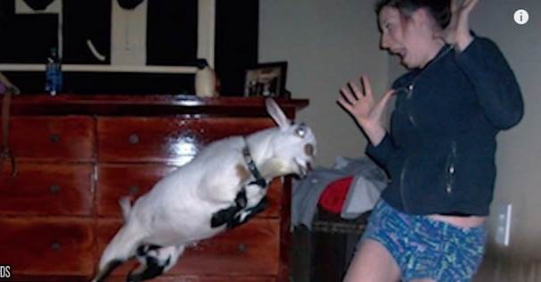 caption comp 509