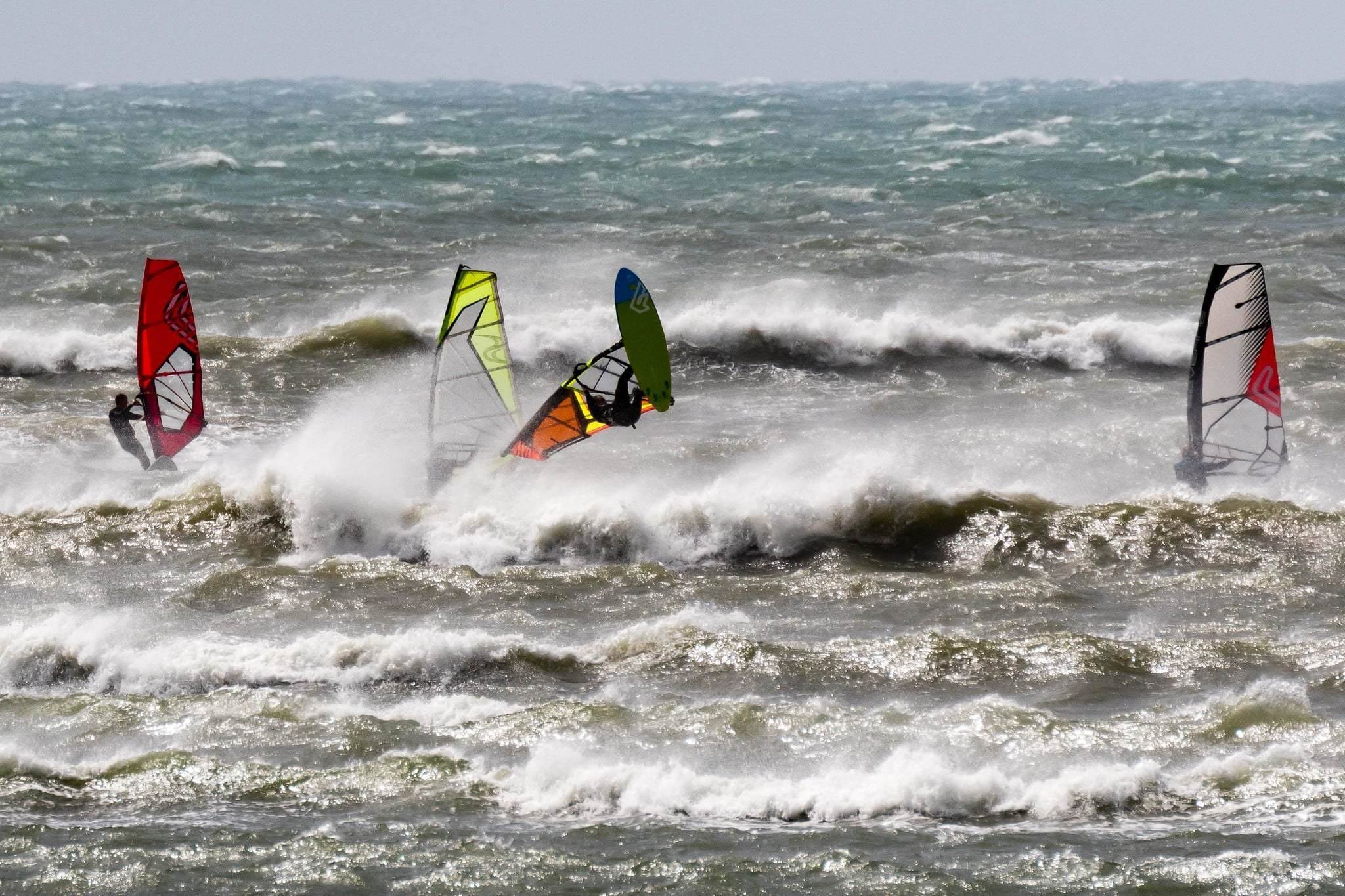 Surfari Feb 2020