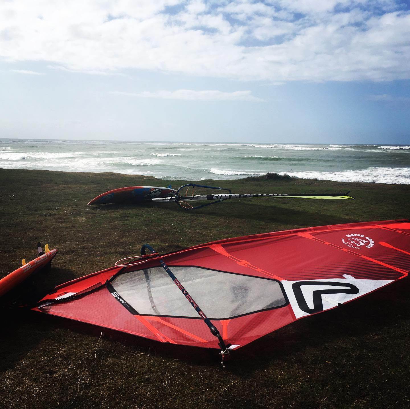 Waitara bliss