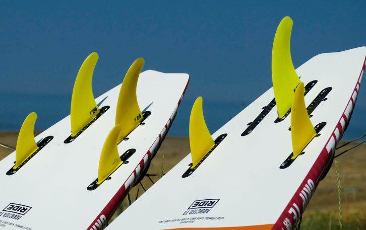Two main fins