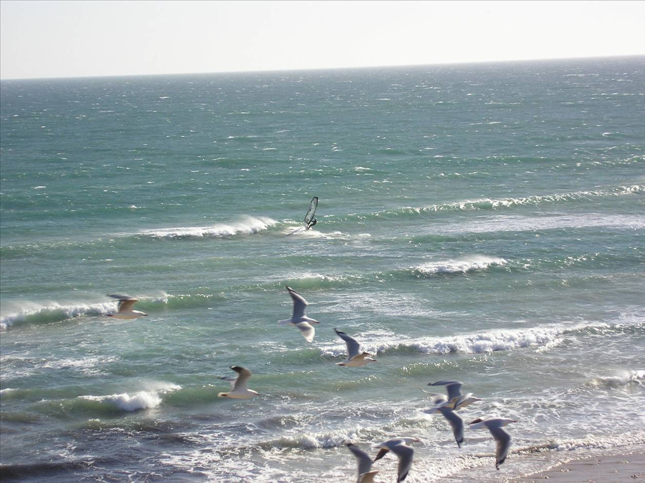 Seaford Today