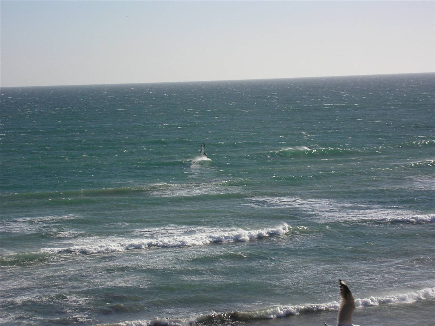 Seaford Today