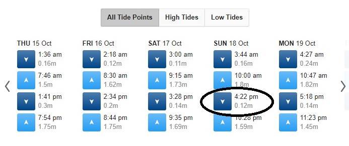 tide table 18 OCt