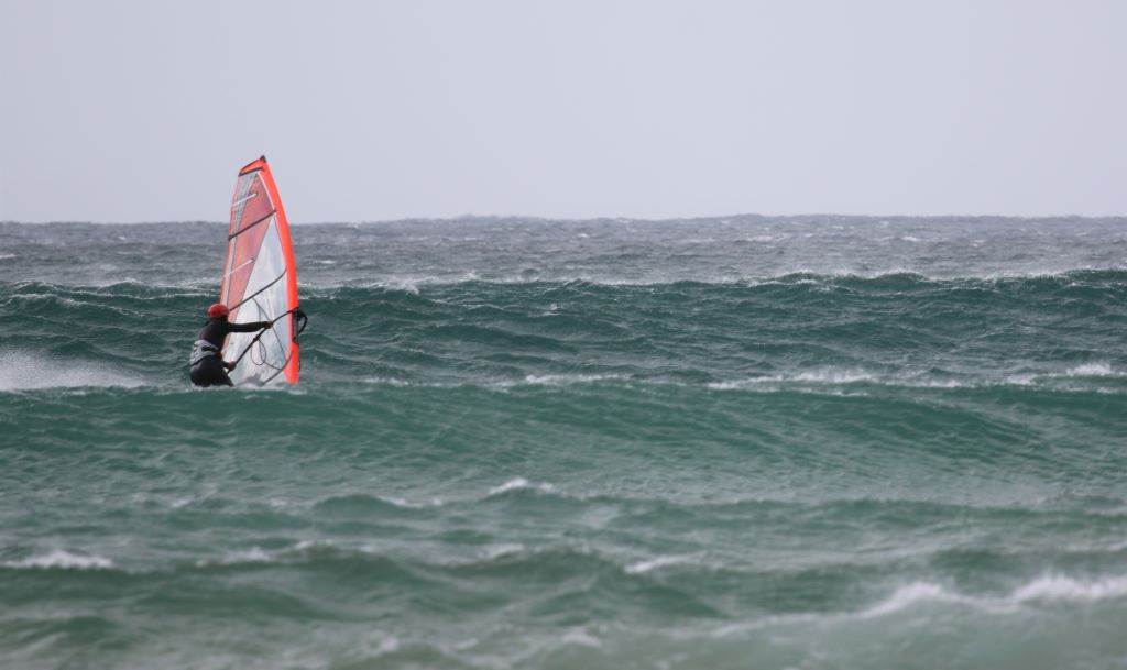 smar036