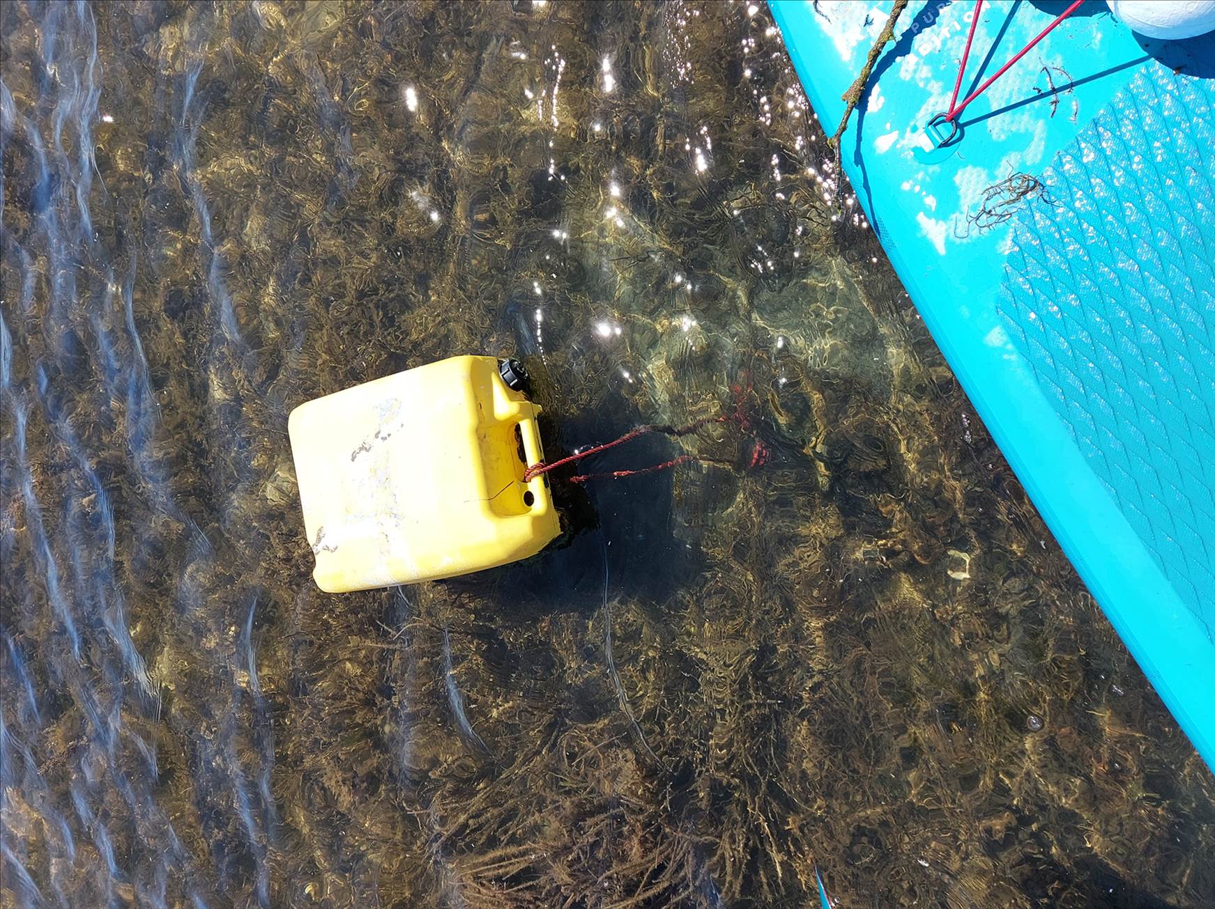 Lake Illawarra Plug