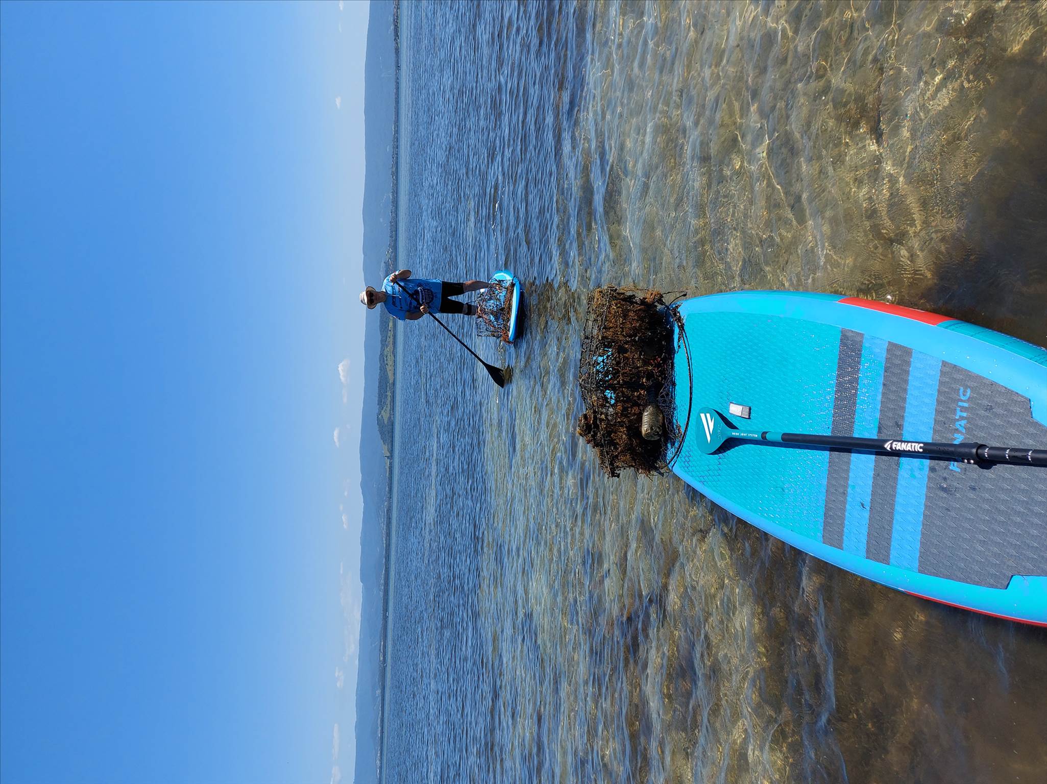 Lake Illawarra Plug