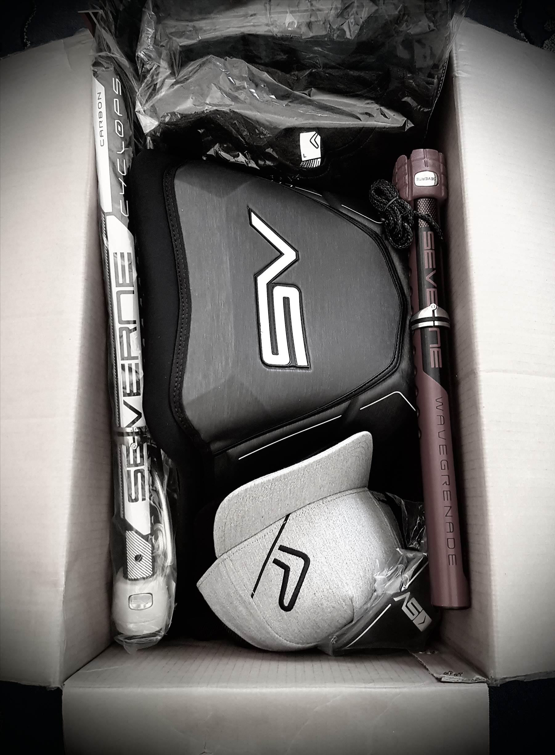 Great Severne Gear