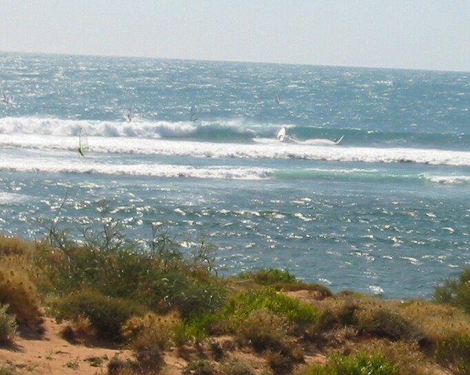 sharing a wave