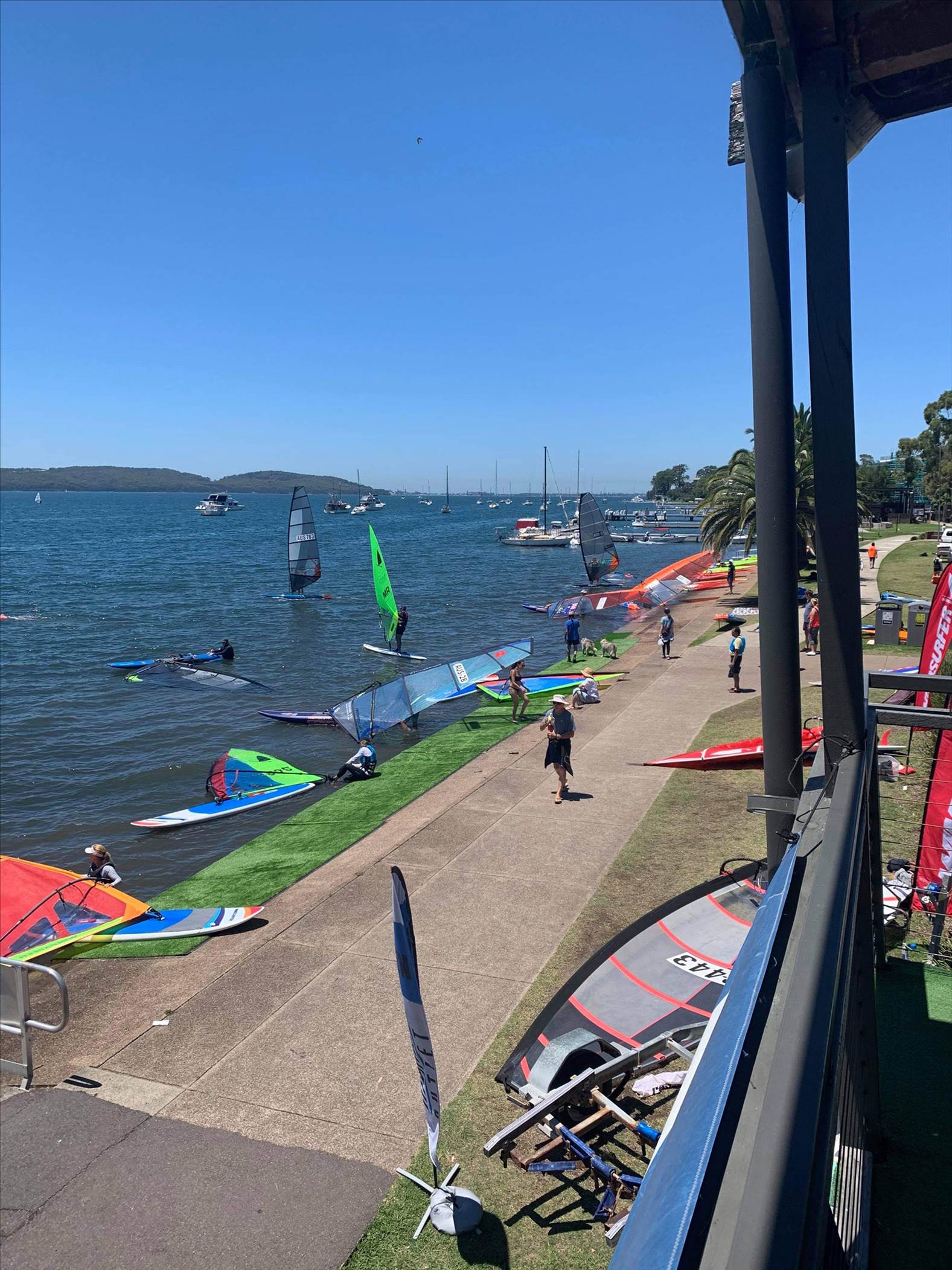 2020 Windsurfer Class state championships