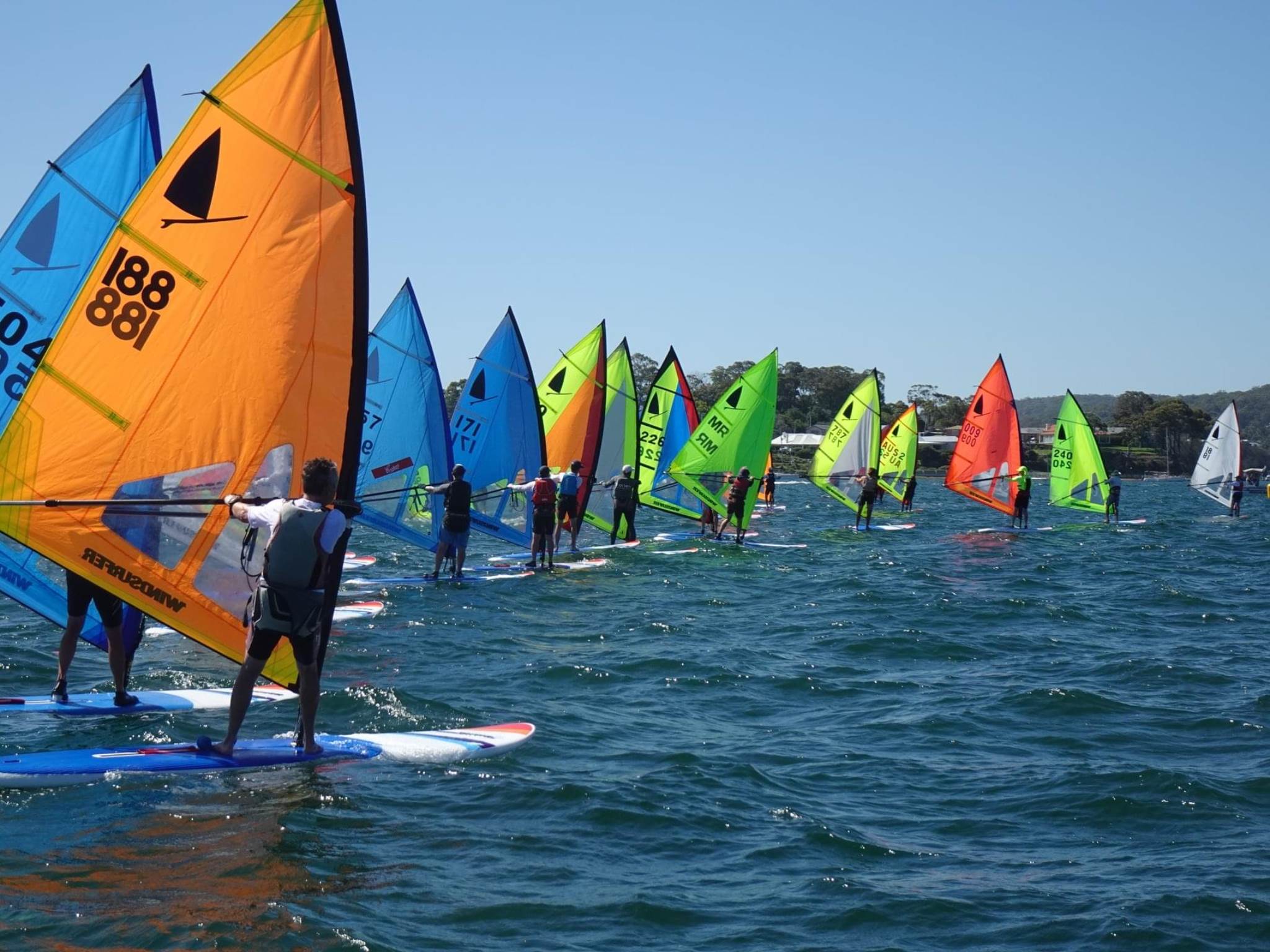 2020 Windsurfer Class state championships
