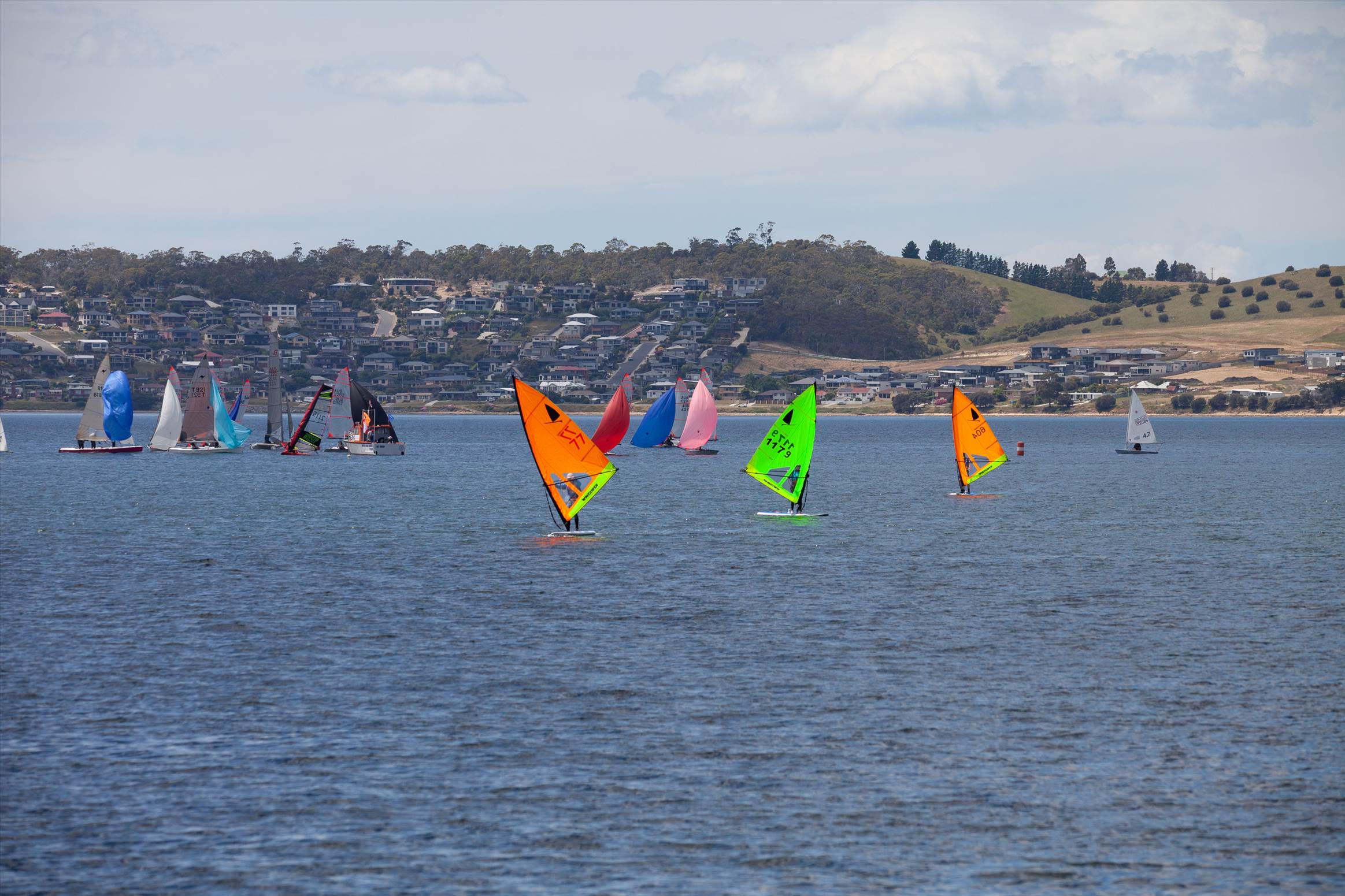 Windsurfer LT Tas State Titles