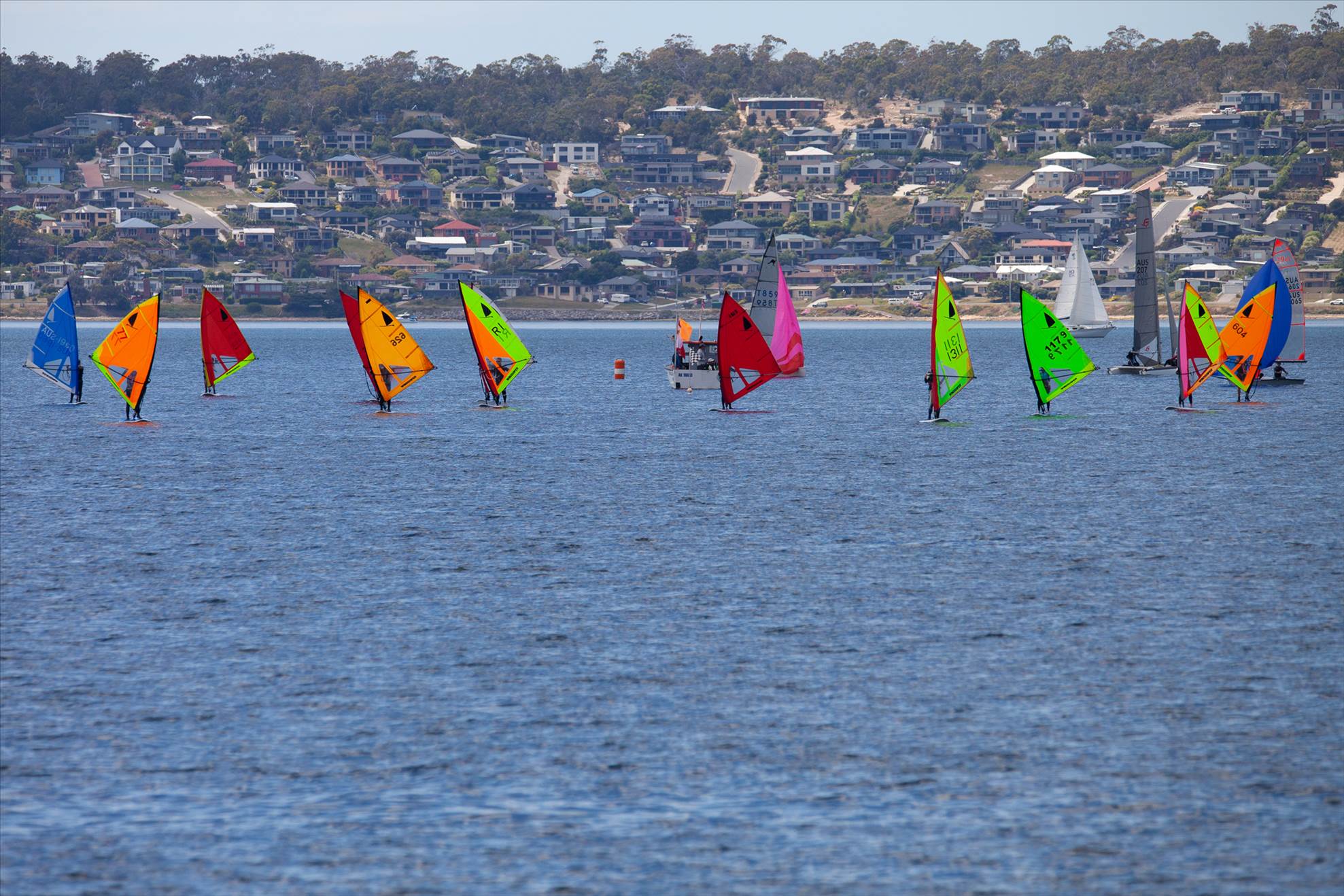 Windsurfer LT Tas State Titles