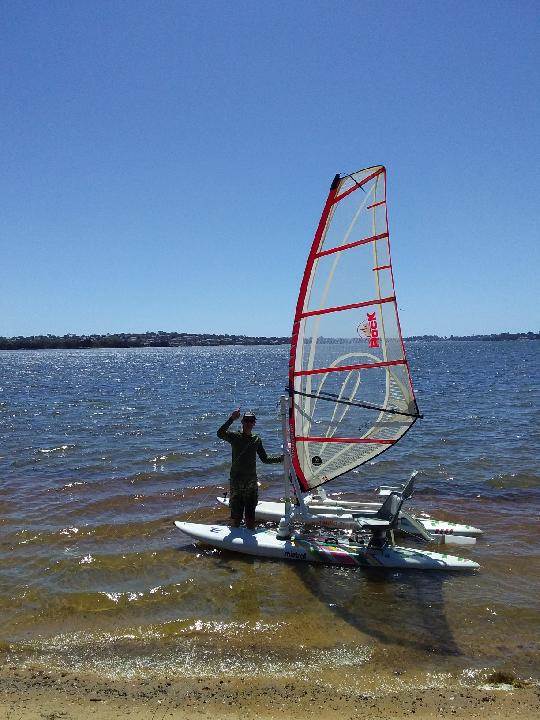 Wind Surf cat