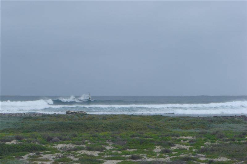 Starboard Evo 70 Carbon Wood
