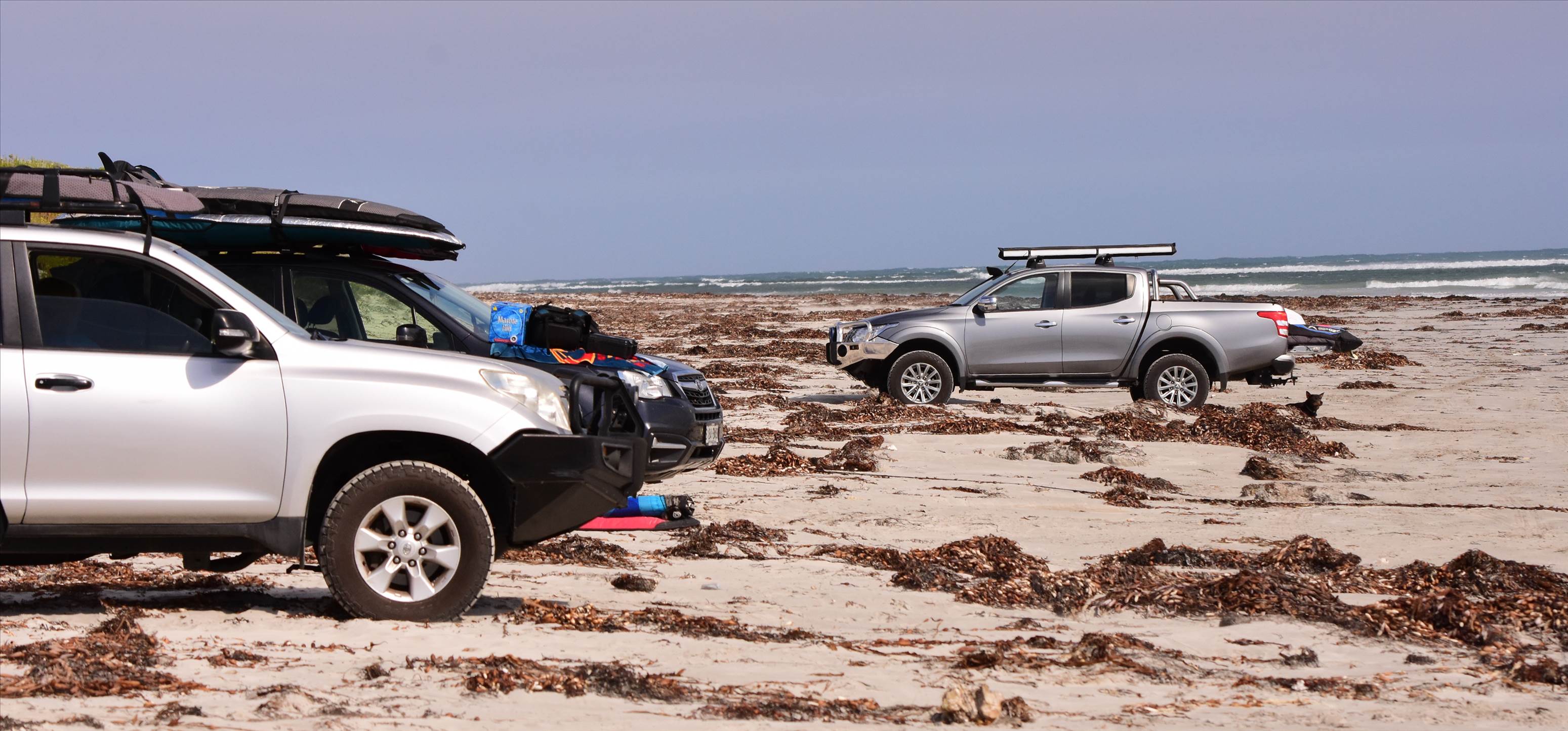 Limestone Coast