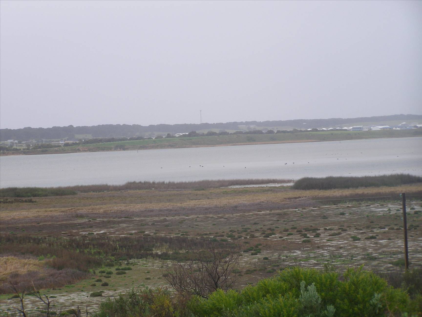 Goolwa in big trouble!!!