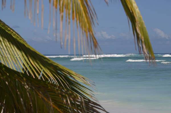 malibu bay and surfers point Cocos isl.