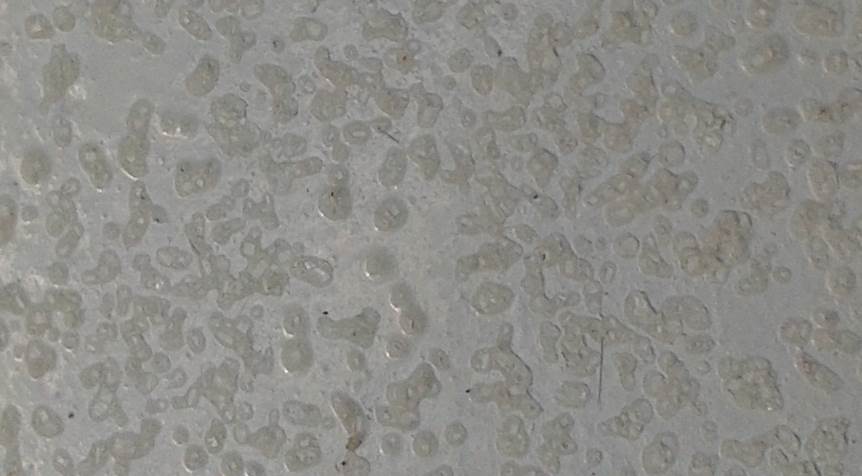 close up sugar deck