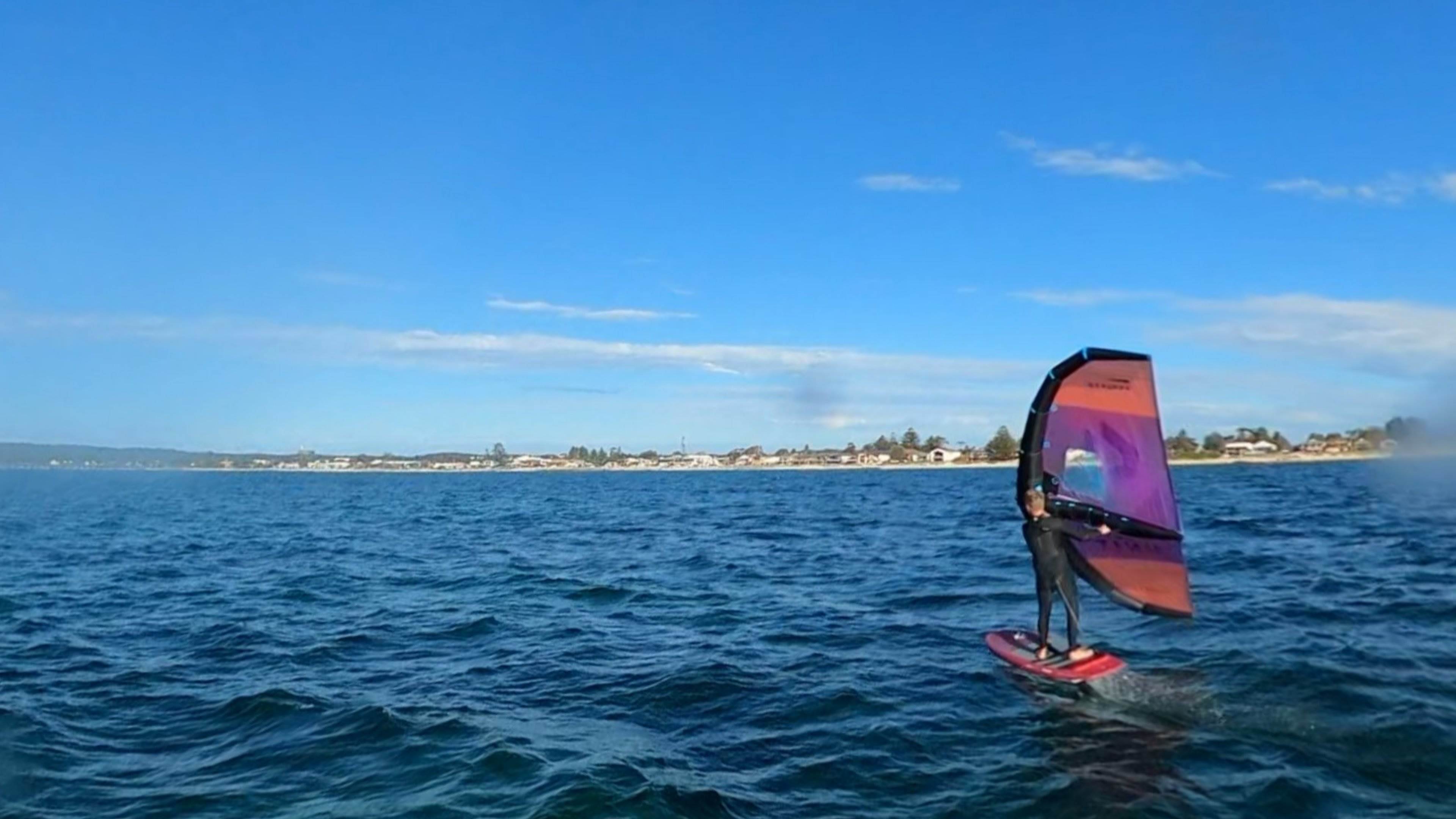 PinkWing4
