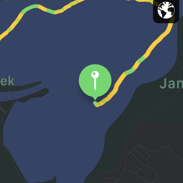 Submerged log location