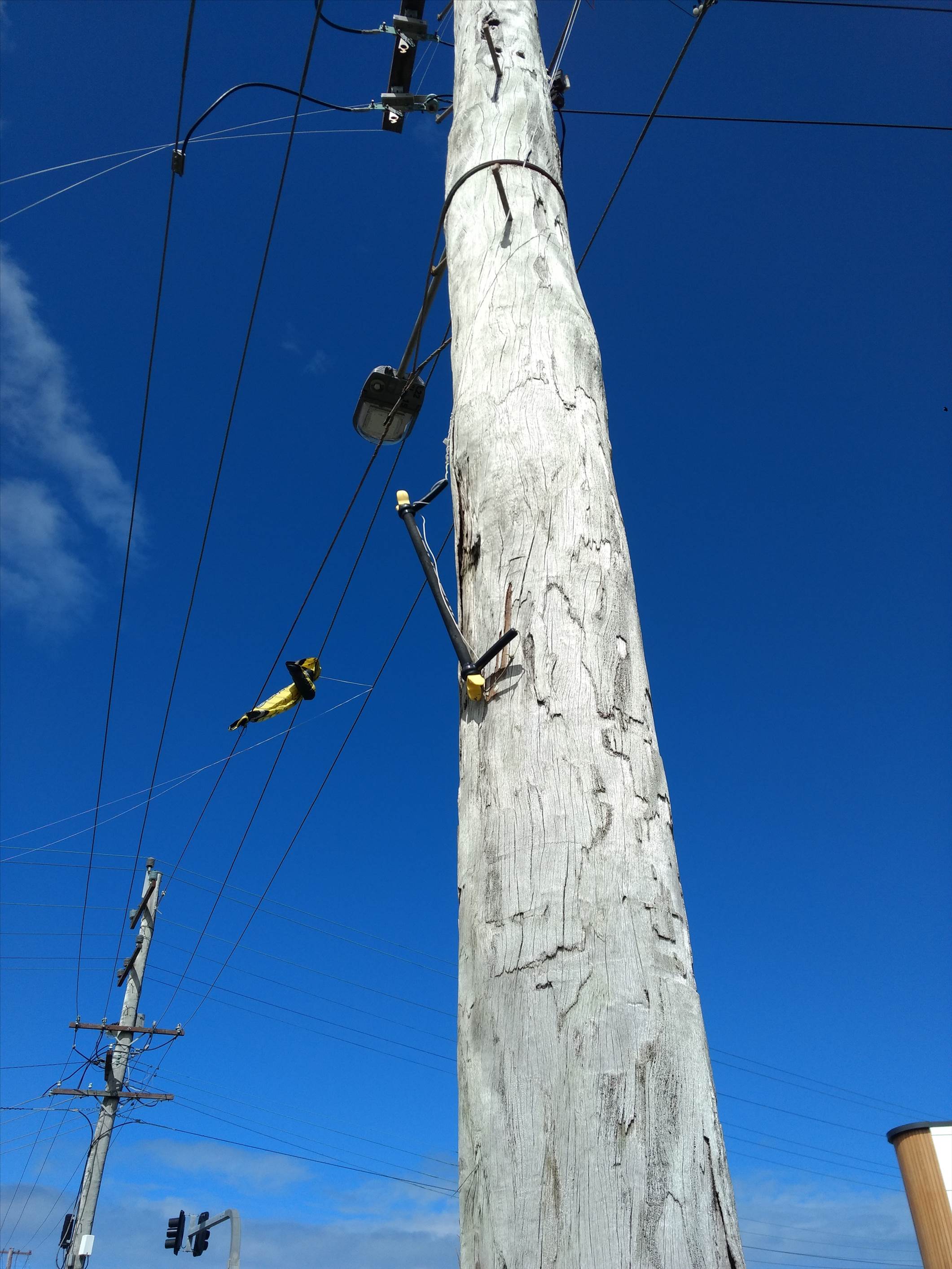 Westerly hazard