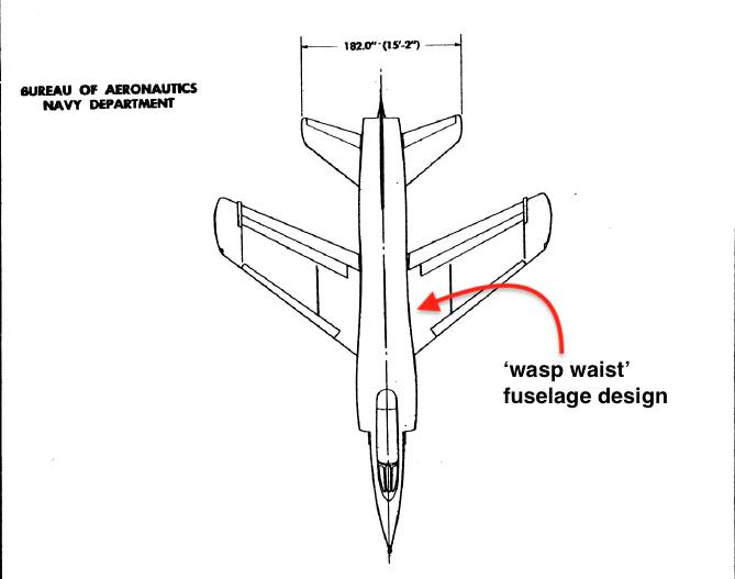 Wasp Waisted