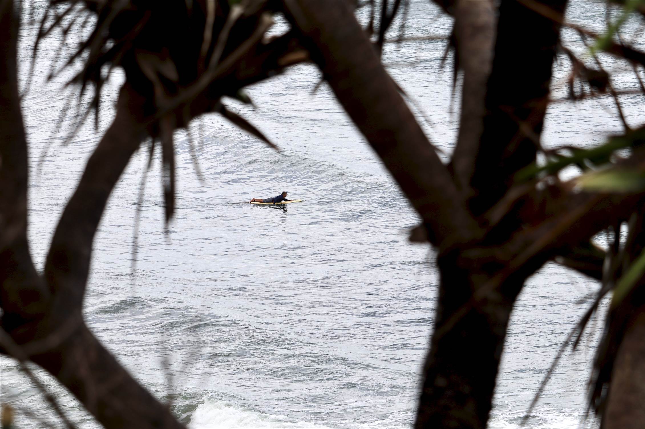 Windy Sunday Caloundra