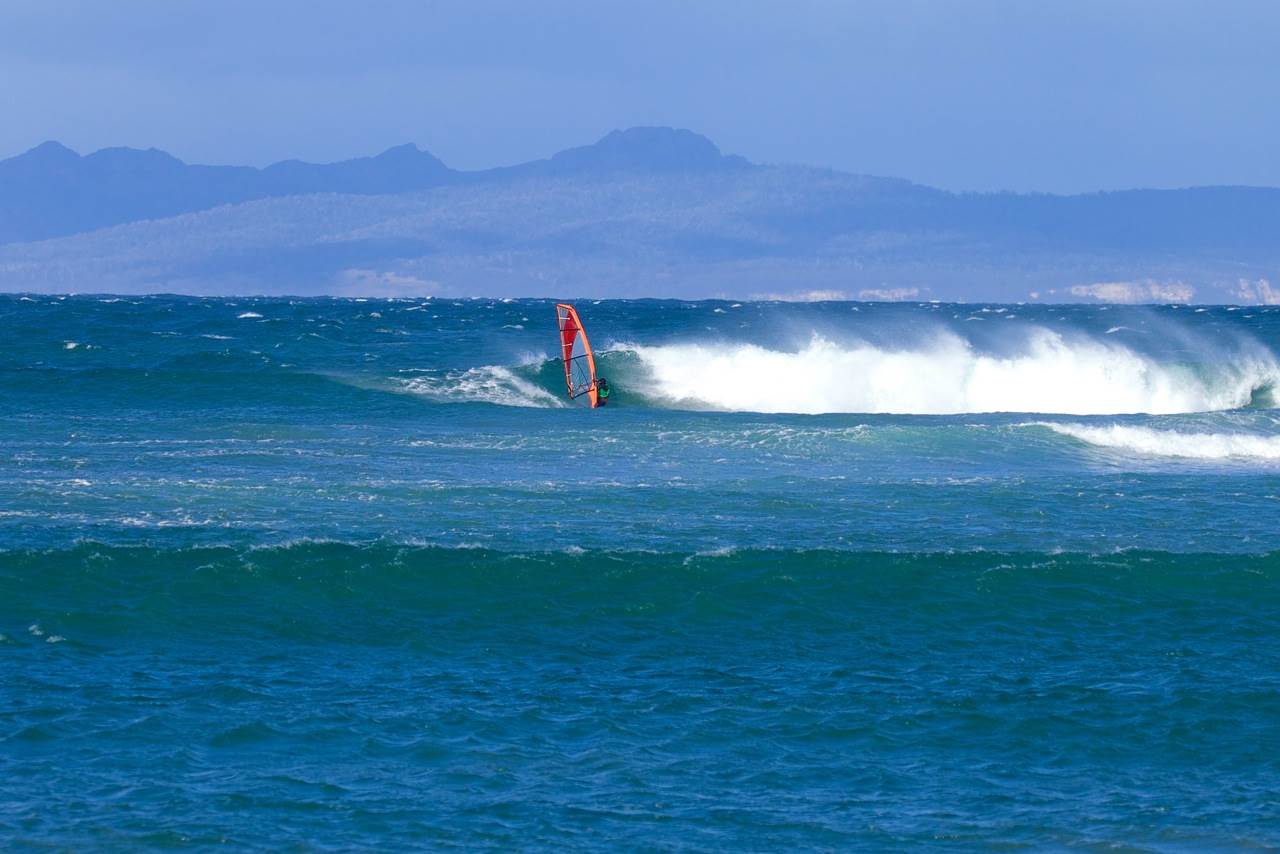 Wave