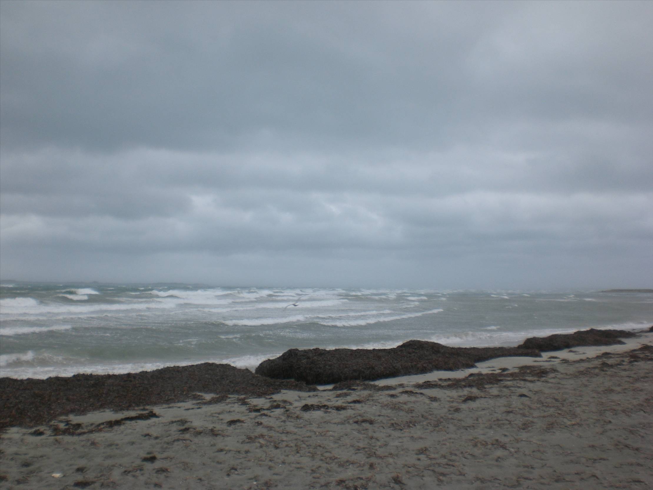 50 Knot gale hits Woodman Point