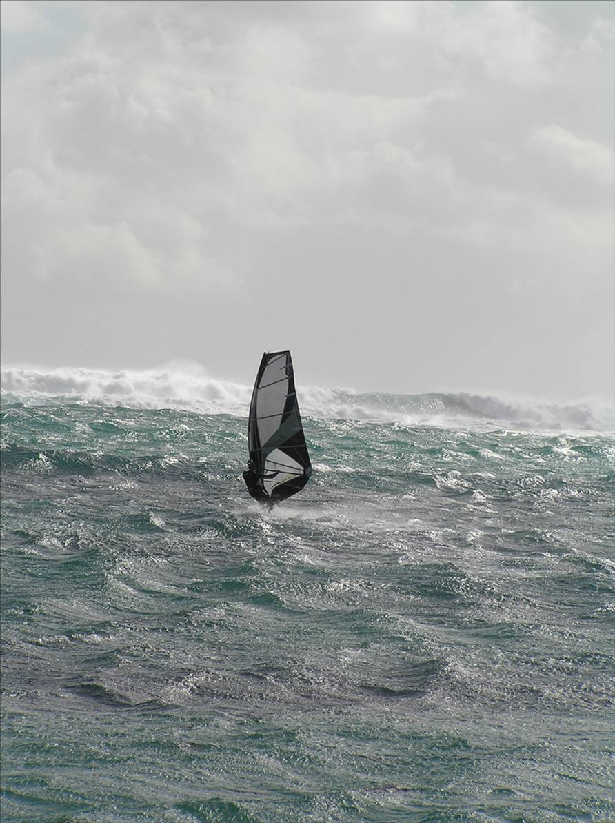 windy miller