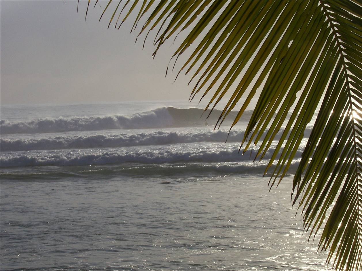 Cocos time