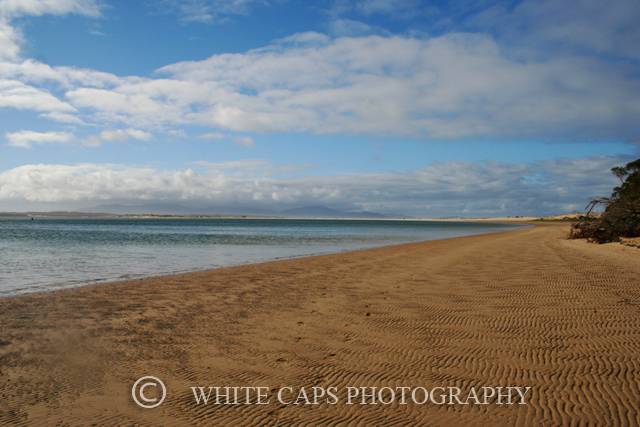 Sandy Point Speed Fortnight 08
