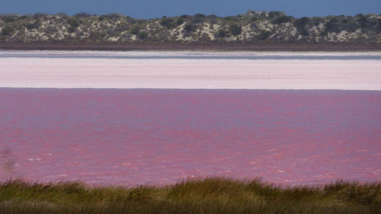 P1100685