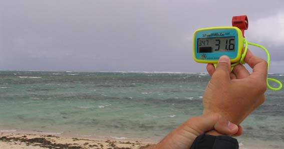 Wind Gauge in use - How windy does it look?