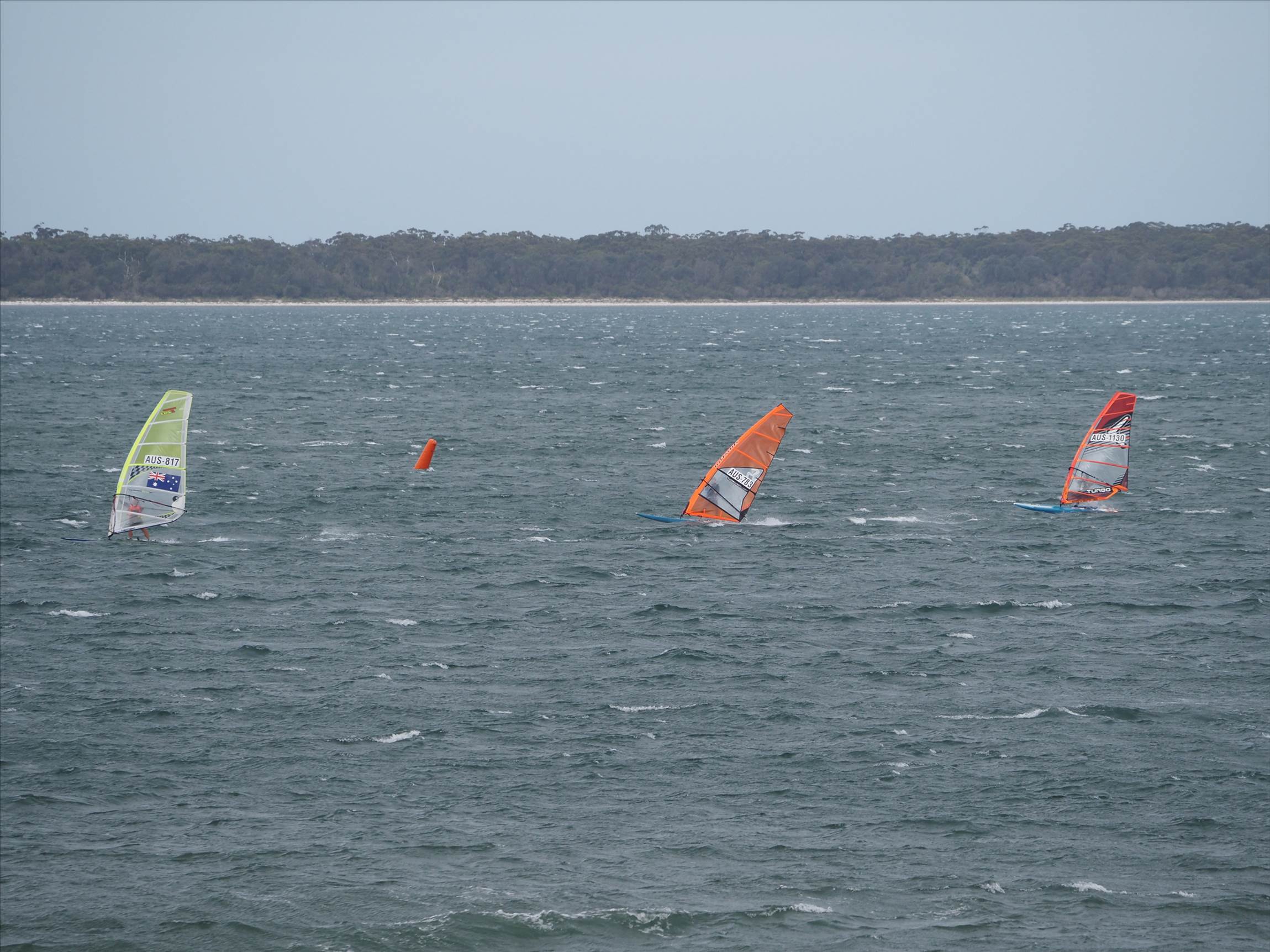 Raceboard State Championships