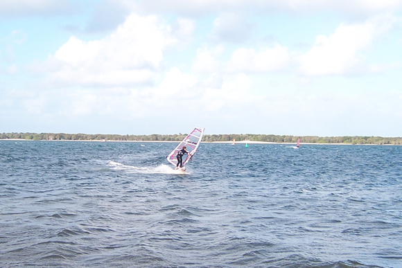 junior freestyle shearwater