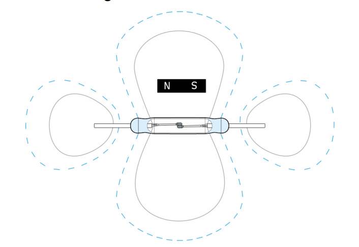 Magnetorientation