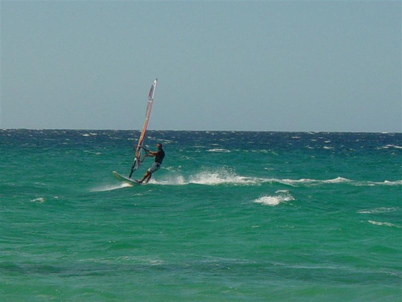 friday arvo