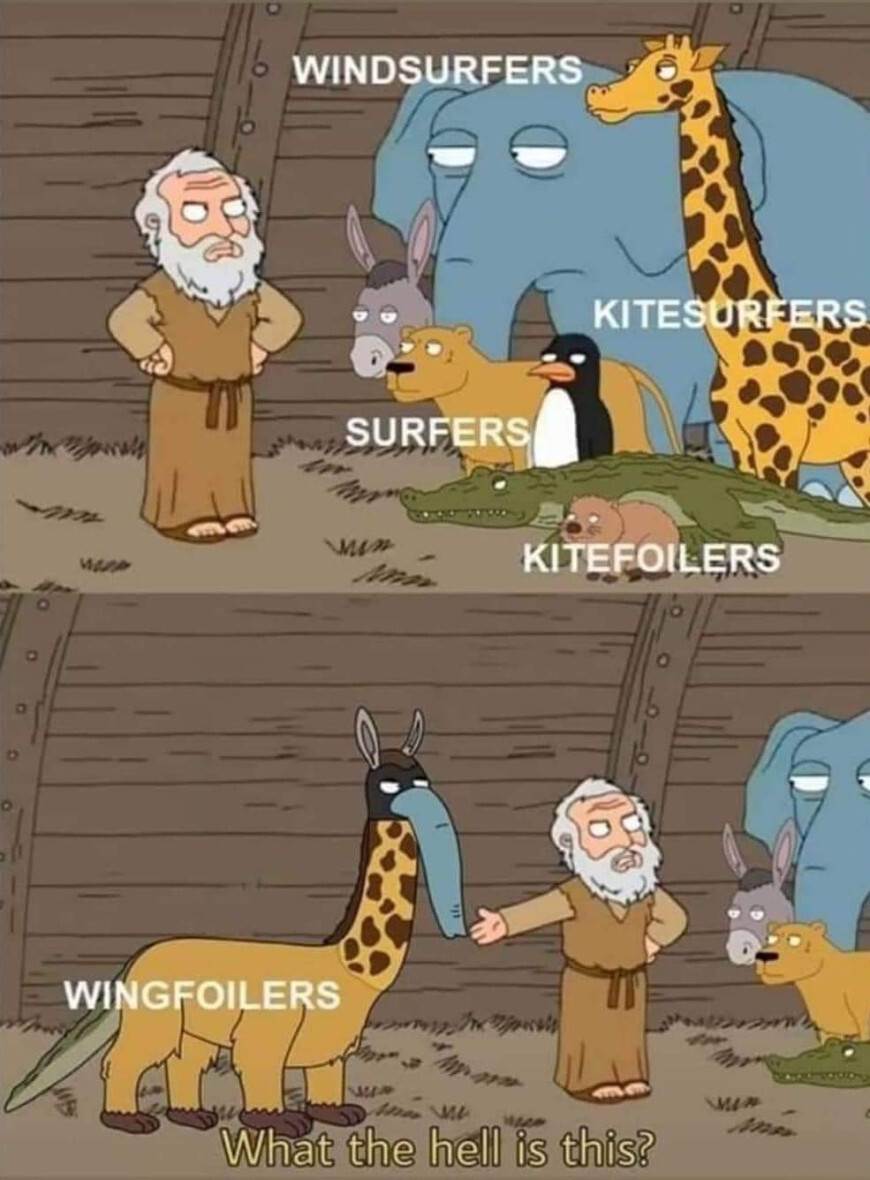 wing-noahs-ark