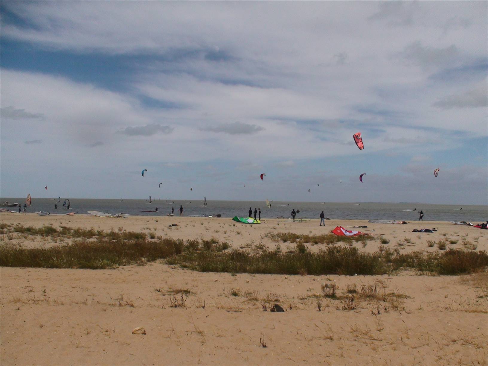 Milang Demo day - 