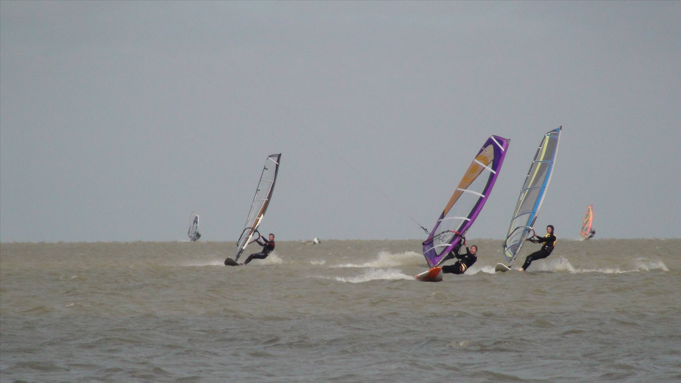 Milang Demo day - 