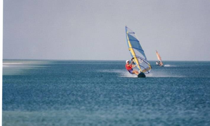 Doha speed strip 95