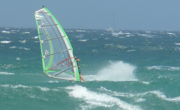 Lovely Carina @ long reef on a 4.0 day